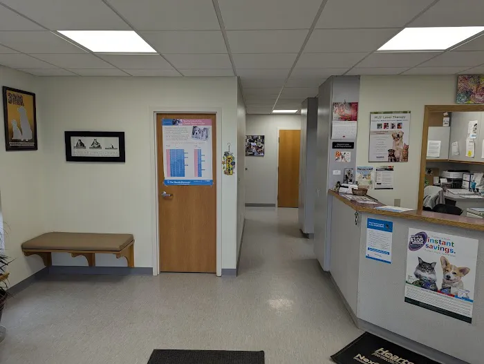 Family Pet Veterinary Picture 6