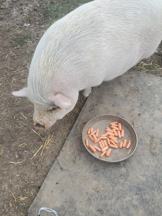 West Branch Animal Clinic Picture 1