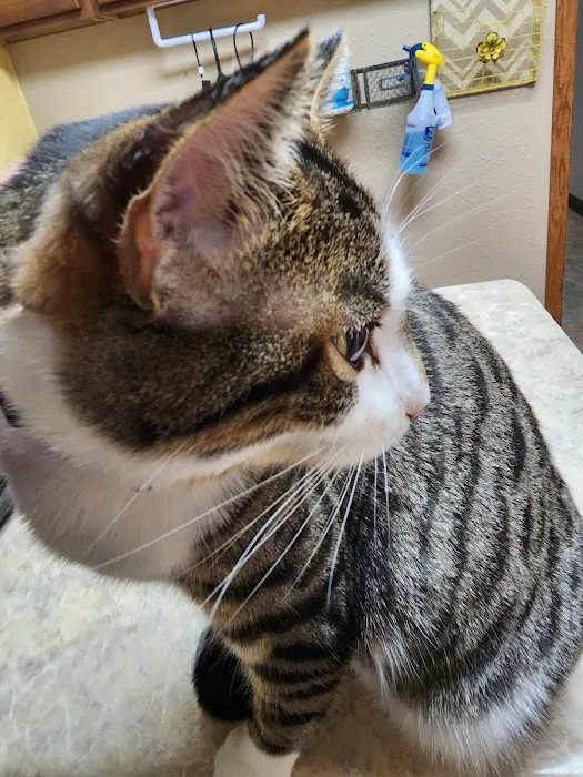 West Branch Animal Clinic Picture 2