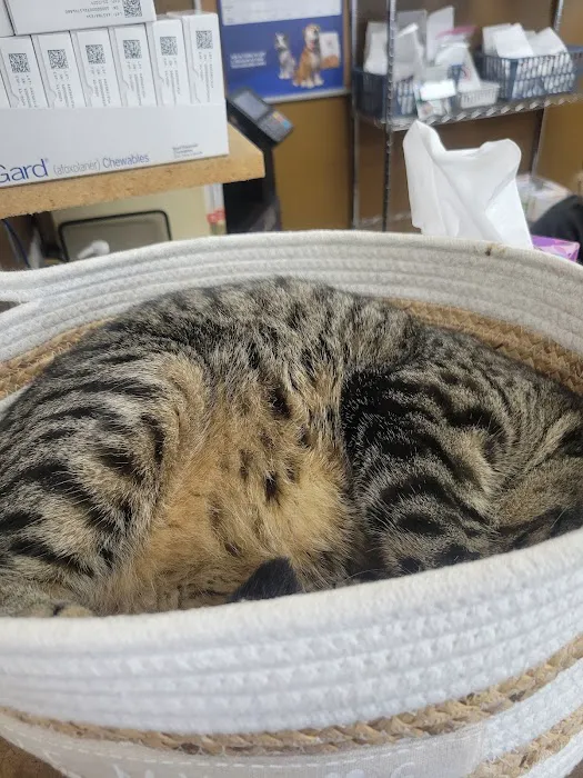 West Branch Animal Clinic Picture 5