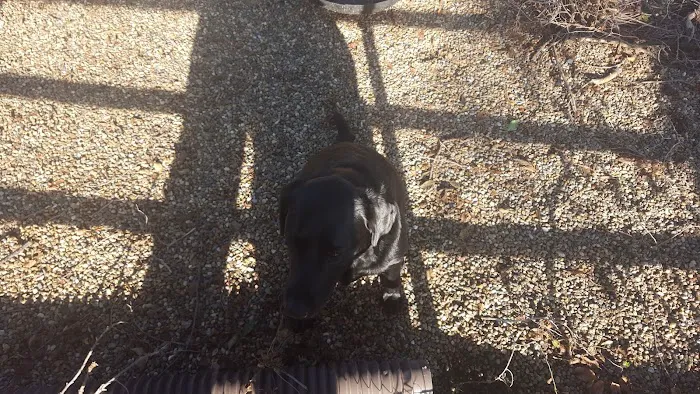 West Branch Animal Clinic Picture 9