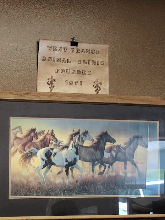 West Branch Animal Clinic Picture 8