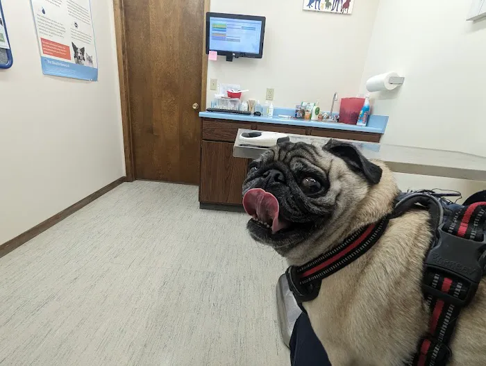 Pet Health Center of Mount Vernon Picture 3