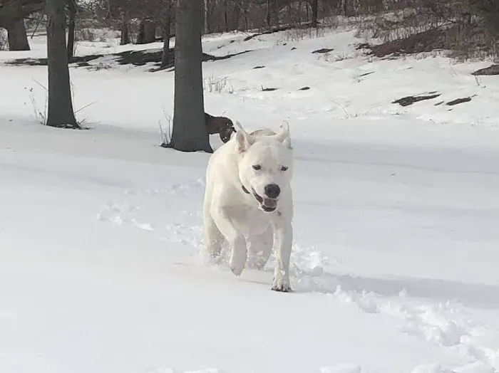 Pet Health Center of Mount Vernon Picture 1