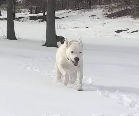 Pet Health Center of Mount Vernon
