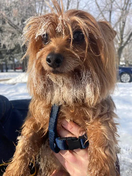 Pet Health Center of Mount Vernon Picture 6