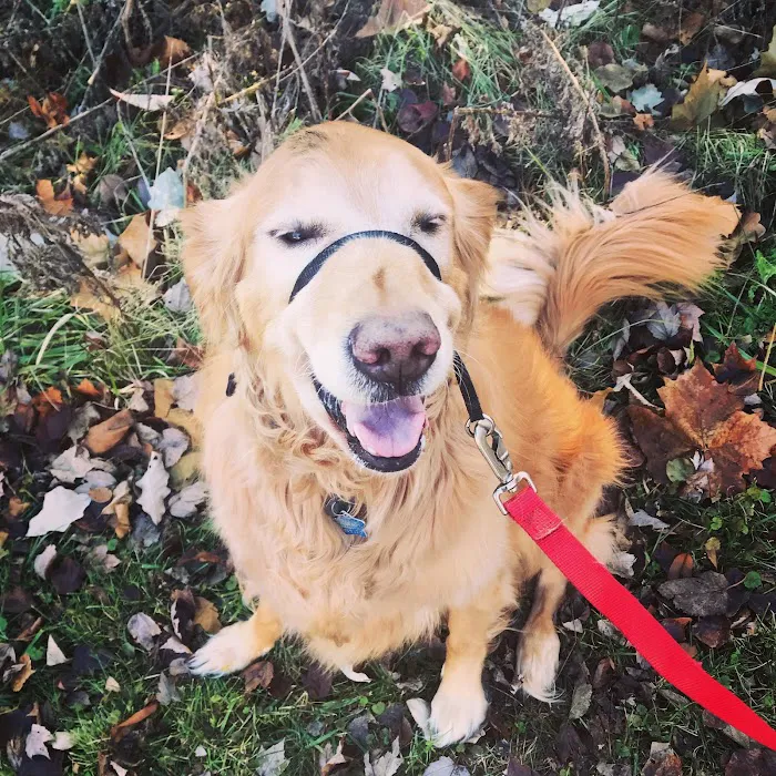 Pet Health Center of Mount Vernon Picture 8