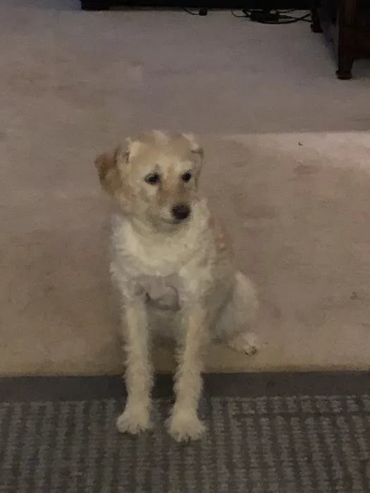 Mount Vernon Veterinary Clinic Picture 1