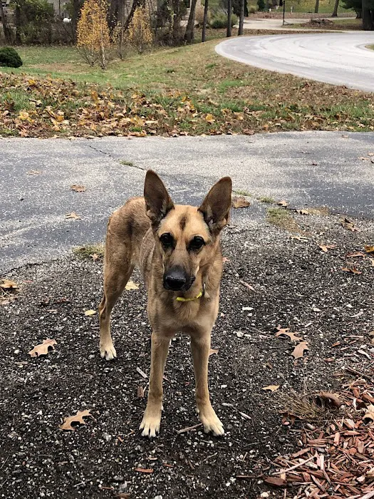 Mount Vernon Veterinary Clinic Picture 2