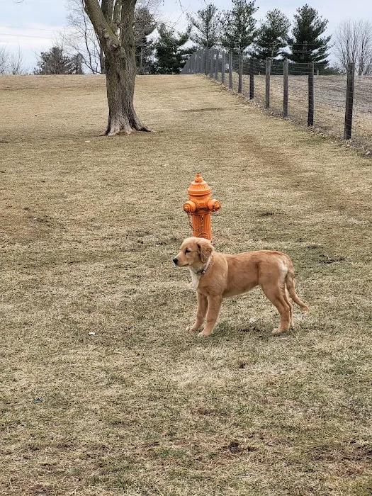 Mount Vernon Veterinary Clinic Picture 4