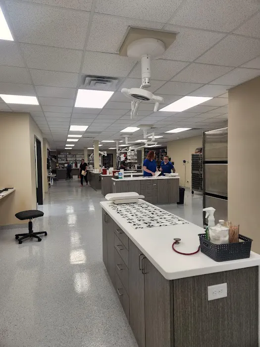 Pet Health Center of Solon Picture 4