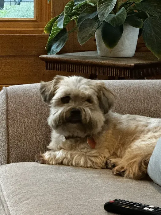 Pet Health Center of Solon Picture 5