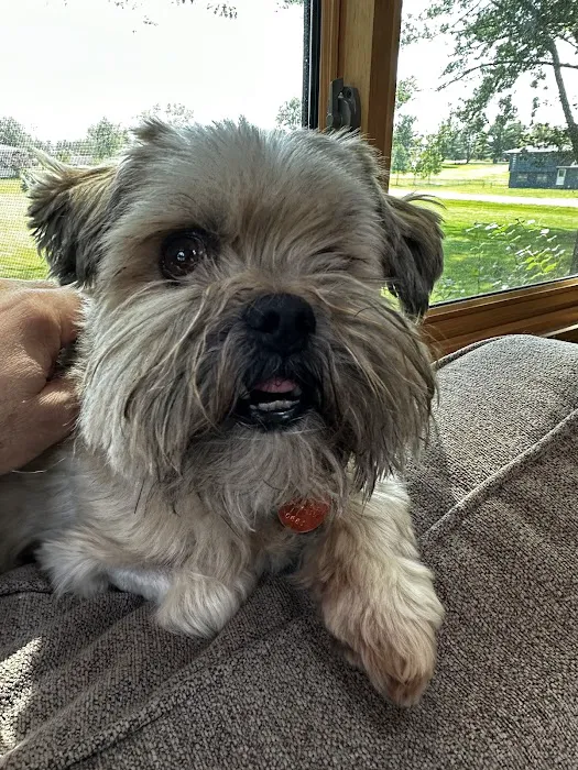 Pet Health Center of Solon Picture 7