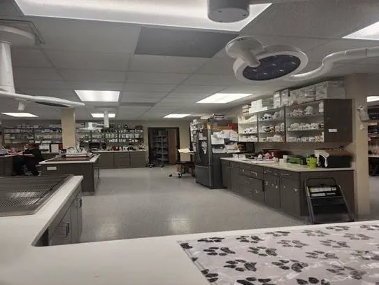 Pet Health Center of Solon Picture 8