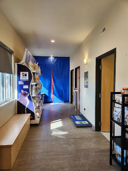 Pet Health Center of Solon Picture 10