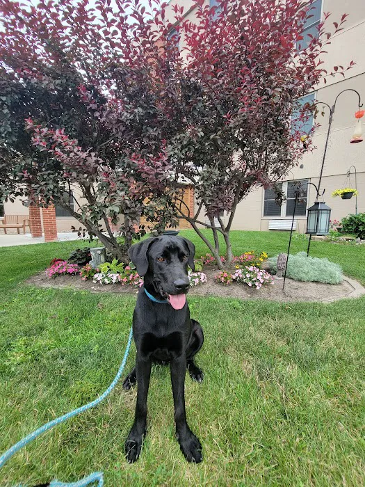 Emergency Veterinary Service of Iowa City Picture 6