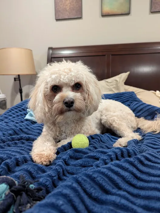 Bright Eyes & Bushy Tails Veterinary Hospital Picture 3