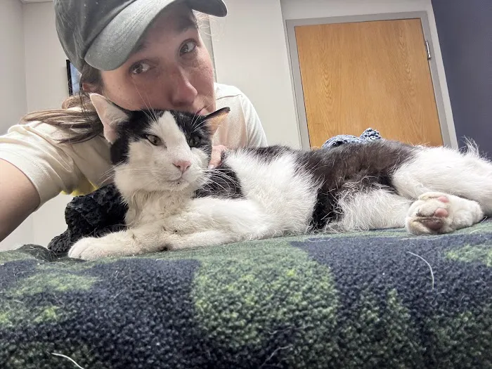 Bright Eyes & Bushy Tails Veterinary Hospital Picture 5