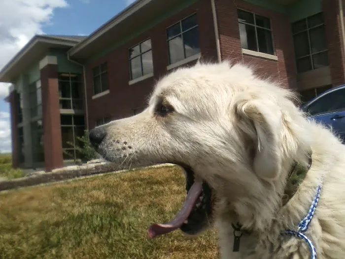 Bright Eyes & Bushy Tails Veterinary Hospital Picture 1