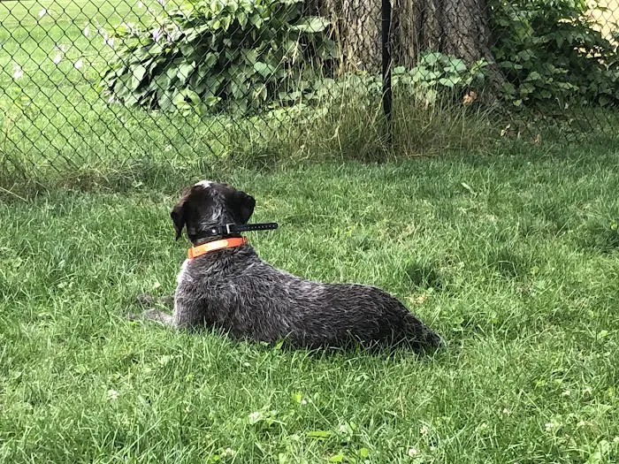 Bright Eyes & Bushy Tails Veterinary Hospital Picture 7