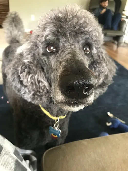 Bright Eyes & Bushy Tails Veterinary Hospital Picture 6