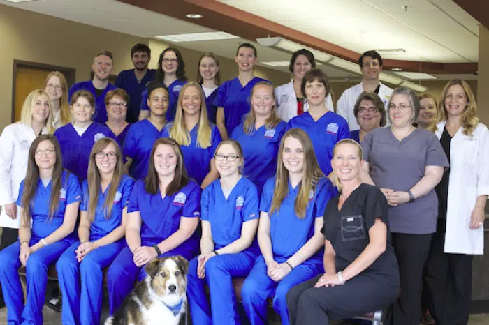 Bright Eyes & Bushy Tails Veterinary Hospital Picture 10