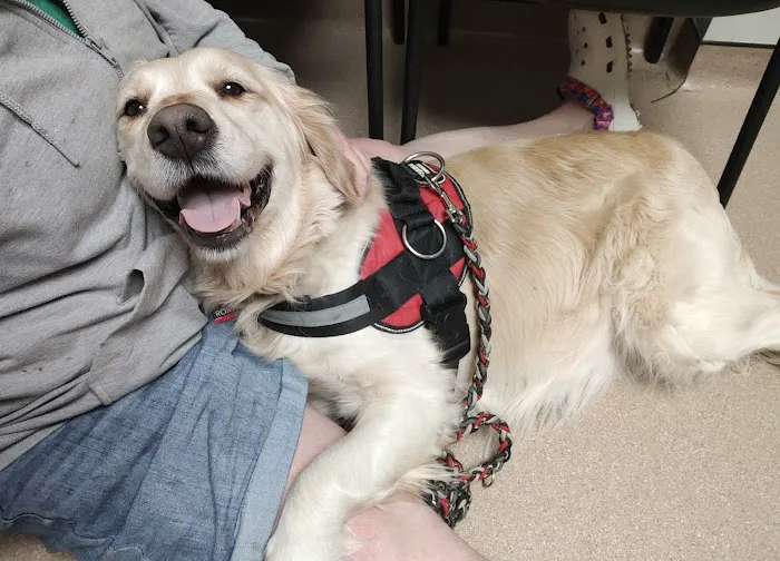 Bright Eyes & Bushy Tails Veterinary Hospital Picture 9