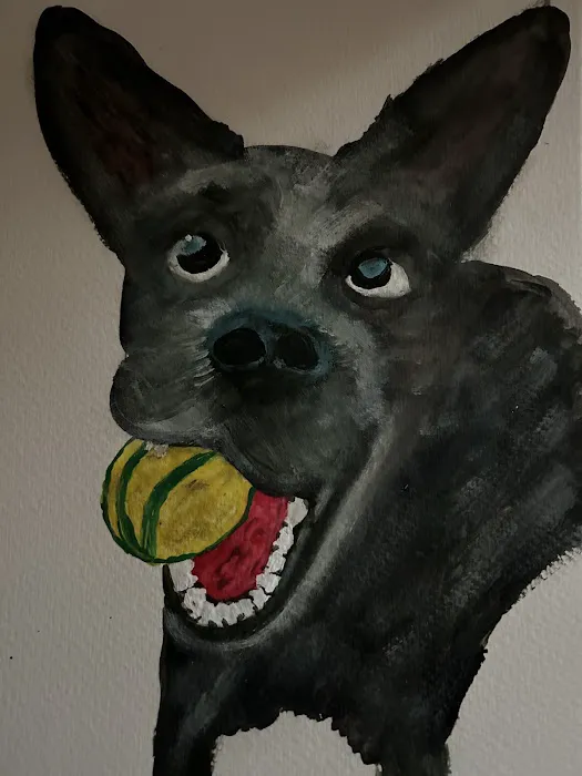 Best Friends Veterinary Care Picture 2