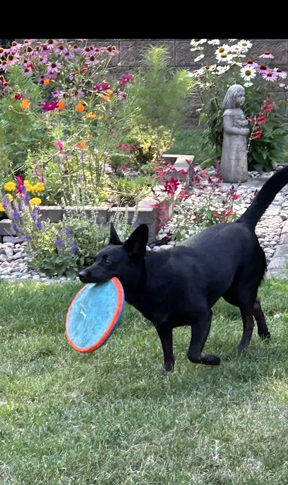 Best Friends Veterinary Care Picture 3