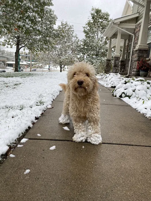 Best Friends Veterinary Care Picture 5