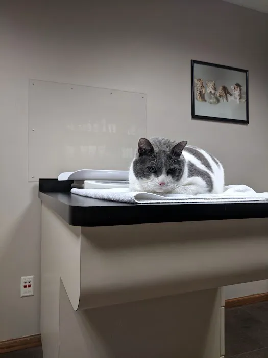 Best Friends Veterinary Care Picture 9