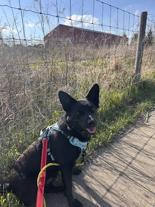 Best Friends Veterinary Care Picture 8