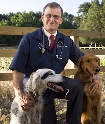 Prairie Ridge Veterinary Clinic Picture 2