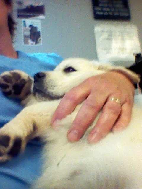 Prairie Ridge Veterinary Clinic Picture 5