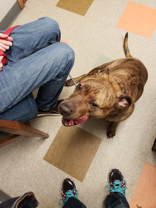 Prairie Ridge Veterinary Clinic Picture 7