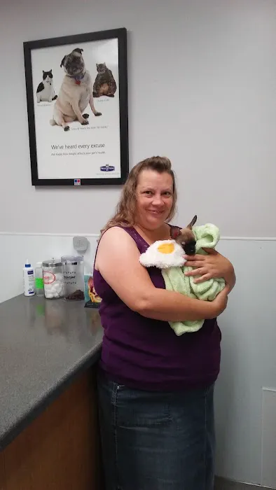 Roseville Veterinary Services Picture 3