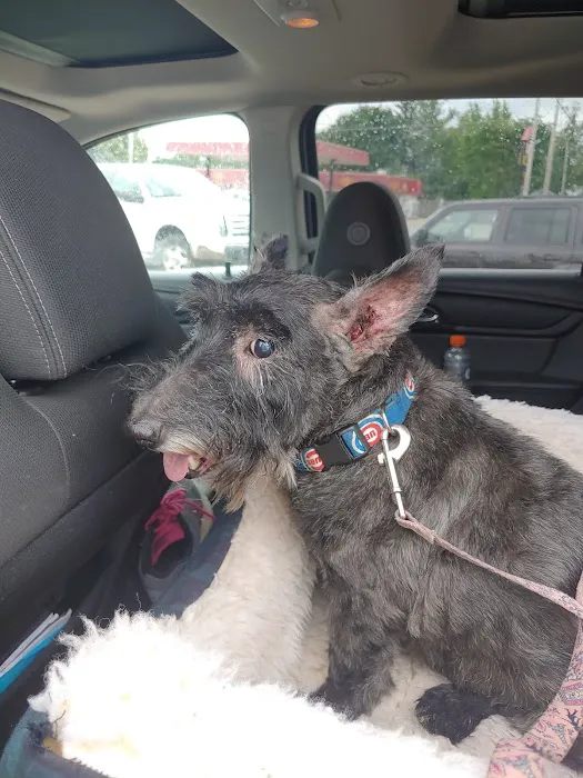 Roseville Veterinary Services Picture 10