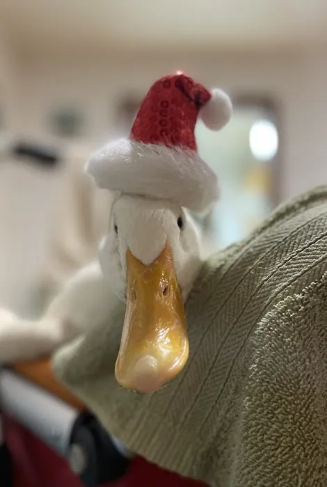 Huston Veterinary Service, LLC Picture 2