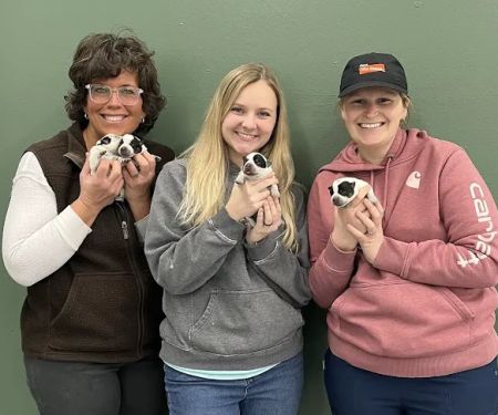 Hometown Veterinary Service, LLC