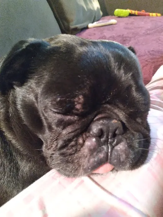 Schar's Veterinary Clinic Picture 1