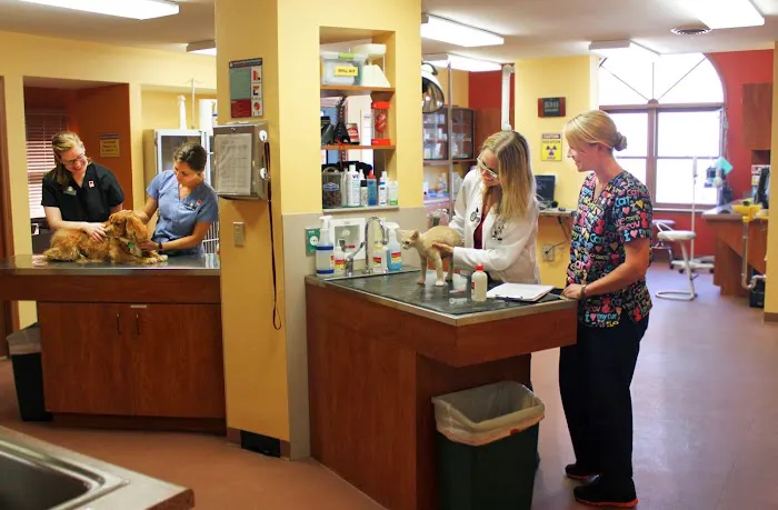 Odyssey Veterinary Care Picture 1