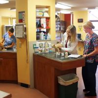 Odyssey Veterinary Care ico