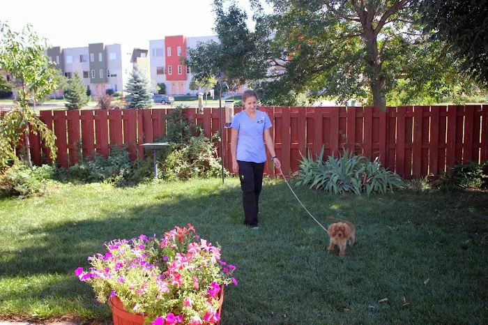 Odyssey Veterinary Care Picture 3