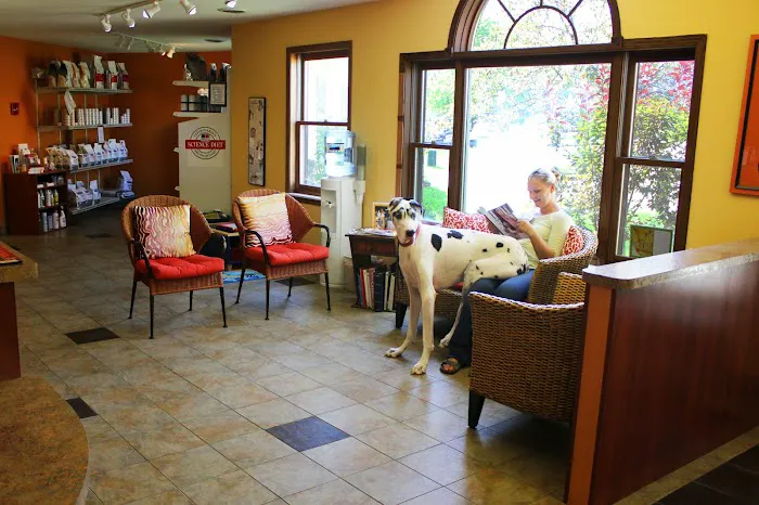 Odyssey Veterinary Care Picture 2