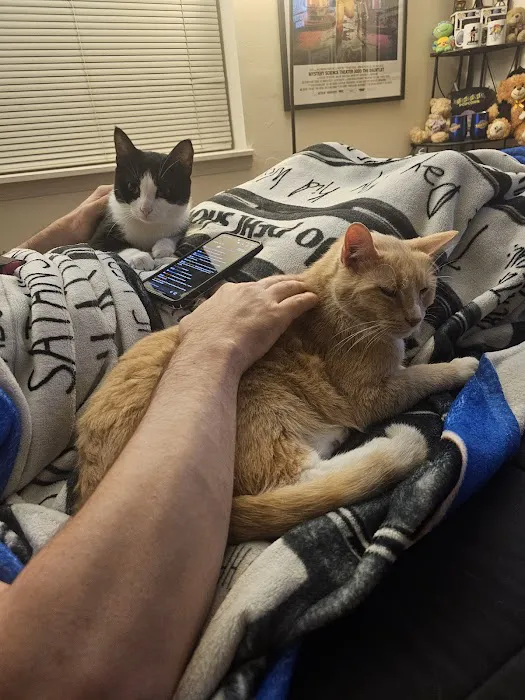 Odyssey Veterinary Care Picture 5