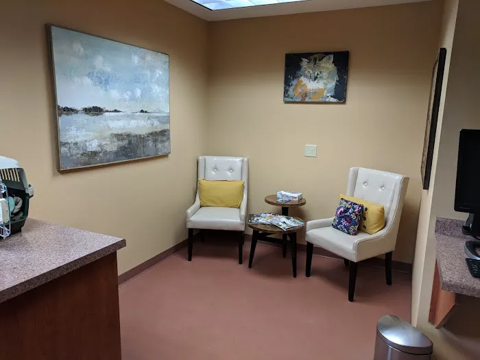 Odyssey Veterinary Care Picture 6