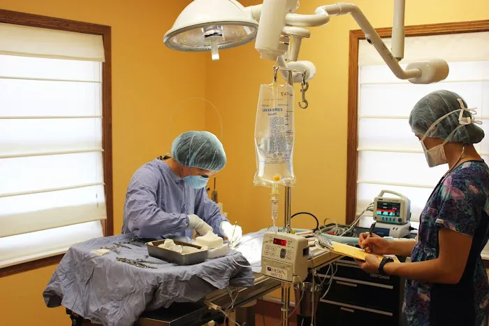 Odyssey Veterinary Care Picture 10