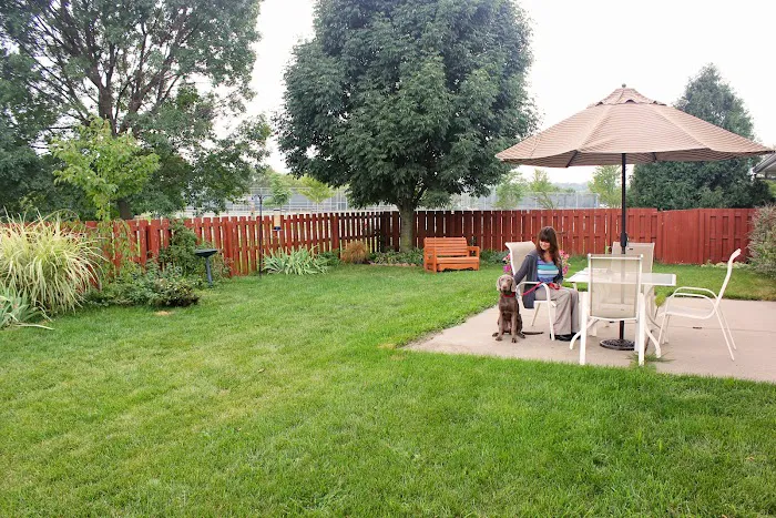 Odyssey Veterinary Care Picture 9