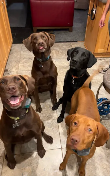 Arbor Ridge Pet Clinic Picture 1