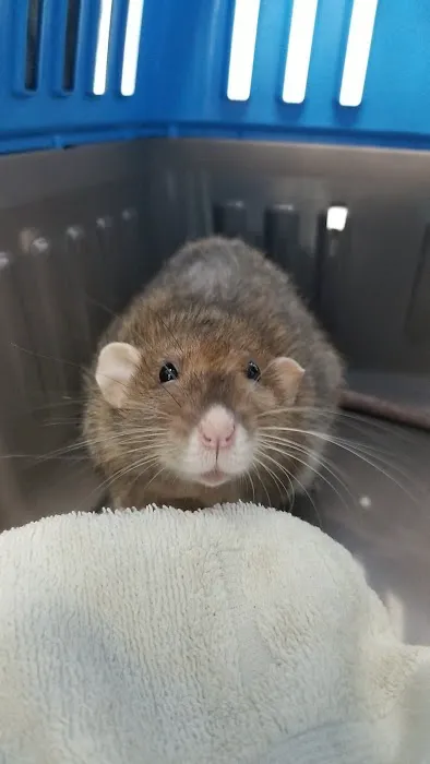 Arbor Ridge Pet Clinic Picture 2